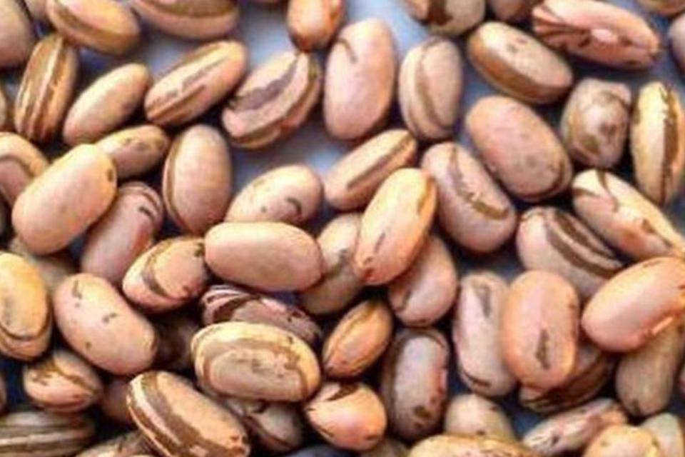 Camex receberá pedido para rever taxa do feijão