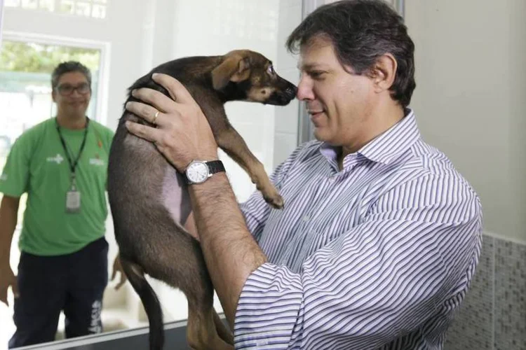 Fernando Haddad em novo centro: para adotar um bichinho, é preciso apresentar CPF, RG, comprovante de residência, pagar uma taxa municipal de R$ 18,50 e passar por uma entrevista (Cesar Ogata / SECOM)