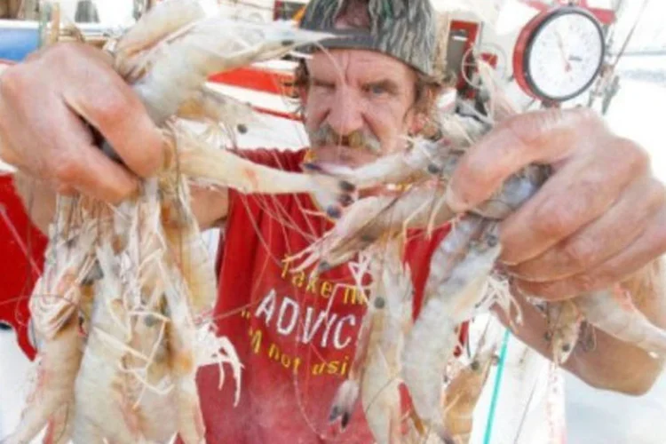 Pescador segura camarões durante o 75º Festival do Camarão e do Petróleo, na Louisiana (Sean Gardner/AFP)