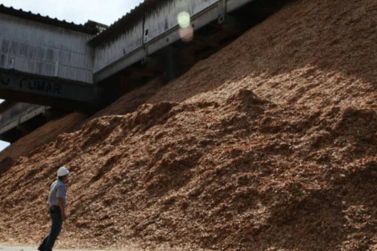 
	Fibria: o balan&ccedil;o trimestral negativo, tend&ecirc;ncia j&aacute; aguardada pelo mercado, tem origem principalmente no efeito da varia&ccedil;&atilde;o cambial no resultado financeiro
 (Rich Press/Bloomberg)