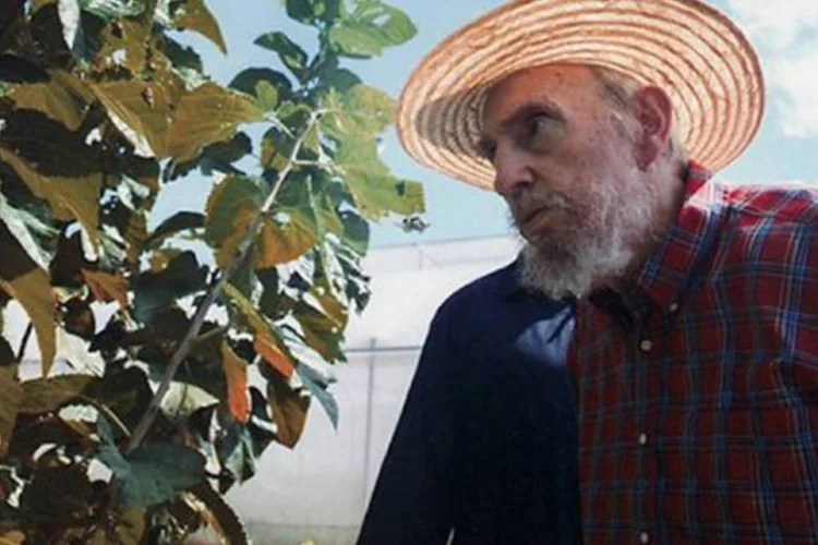 
	Fidel Castro: o l&iacute;der cubano reapareceu em p&uacute;blico no s&aacute;bado depois de mais de seis meses sumido
 (AFP)