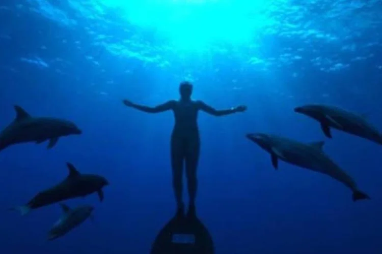 "The Cove" aborda o massacre dos golfinhos no povoado de Taiji, na costa leste do Japão (.)
