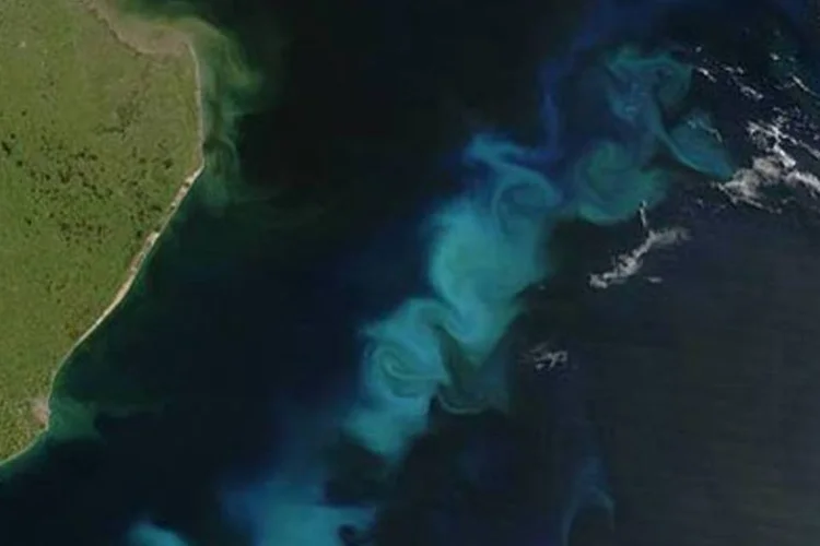 Florescimento (bloom) de fitoplâncton na costa da Argentina. (.)