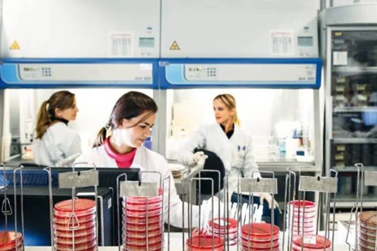 
	Laborat&oacute;rio do Fleury: G&aacute;vea quer controle da companhia
 (Germano Lüders/EXAME)