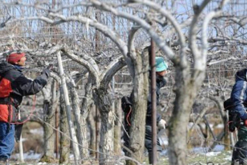 ONU: mortes em Fukushima não foram causadas por radiação