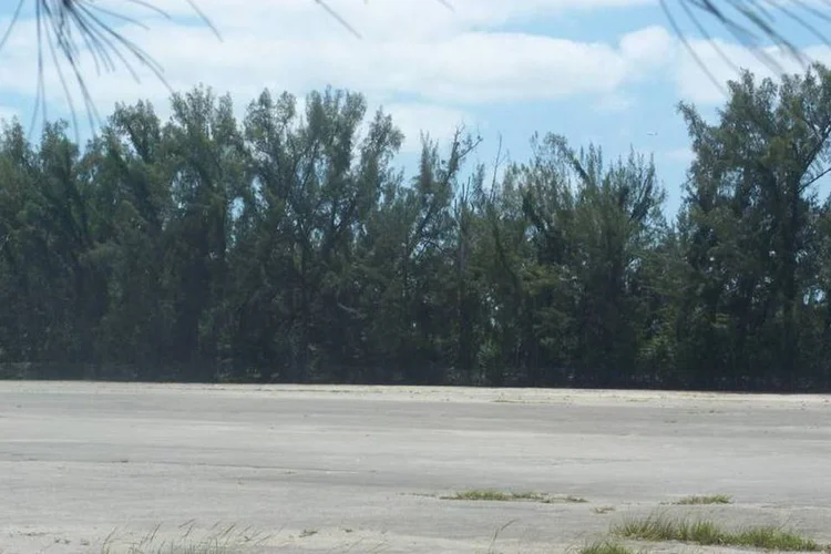 Floresta em Hialeah, Miami: incêndio já consumiu 10 quilômetros quadrados de terreno (Wikimedia Commons)