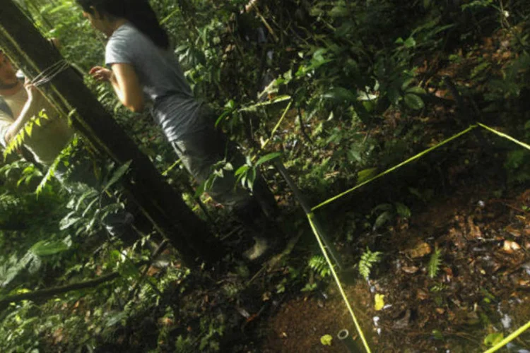 Amazônia: os dados do estudo vão até 2009, mas os pesquisadores preveem que os efeitos observados se repetiram nos últimos anos, desde a seca de 2010 (REUTERS/Mariana Bazo)