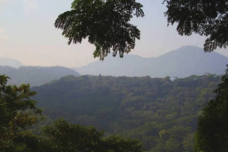 Floresta da Tijuca: uma das pessoas assaltadas foi ferida com uma faca, segundo a polícia, mas passa bem (Wikimedia Commons)