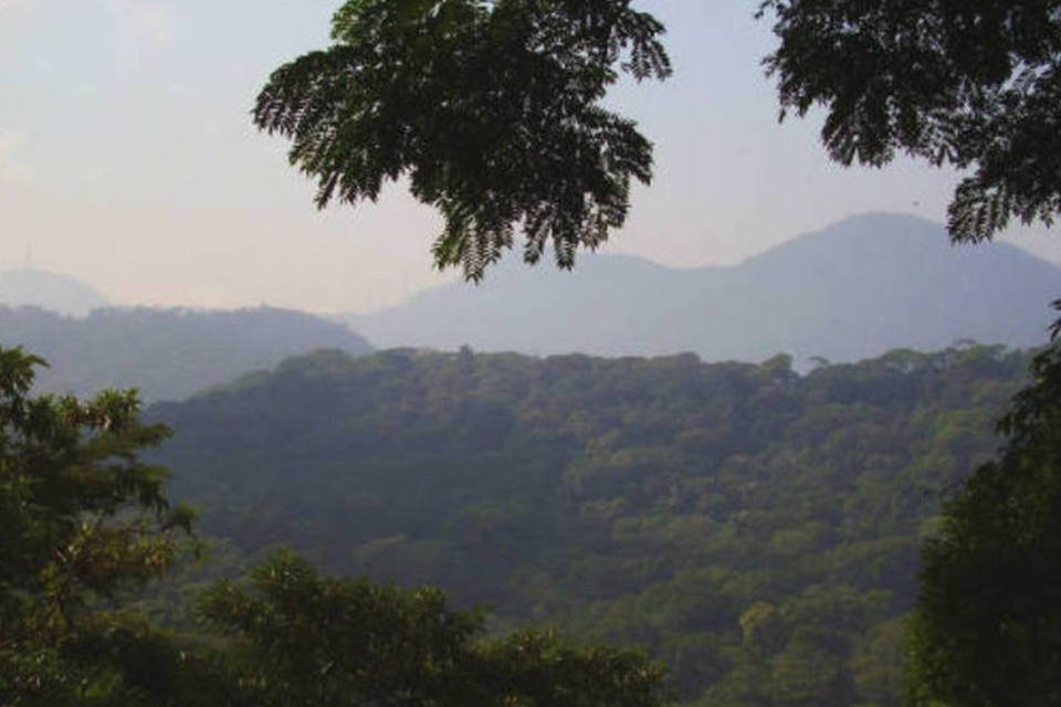 Grupo de turistas é assaltado em trilha na floresta da Tijuca
