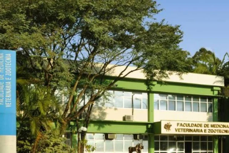 
	Pr&eacute;dio da FMVZ da USP: rela&ccedil;&atilde;o dos aprovados para a segunda fase ser&aacute; divulgada no dia 17 de dezembro e as provas ser&atilde;o aplicadas de 6 a 8 de janeiro de 2013
 (Divulgação/FMVZ-USP)
