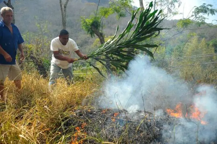Pessoas tentam apagar focos de incêndio no Parque Nacional da Serra dos Órgãos, no estado do RJ (Fernando Frazão/ABr)