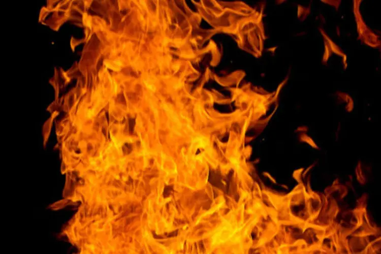 
	Inc&ecirc;ndio: as chamas queimaram 5 mil hectares da Esta&ccedil;&atilde;o Ecol&oacute;gica do Taim.
 (Stock.Xchange)