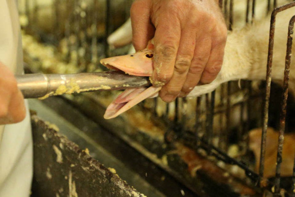 Justiça suspende proibição ao foie gras em São Paulo