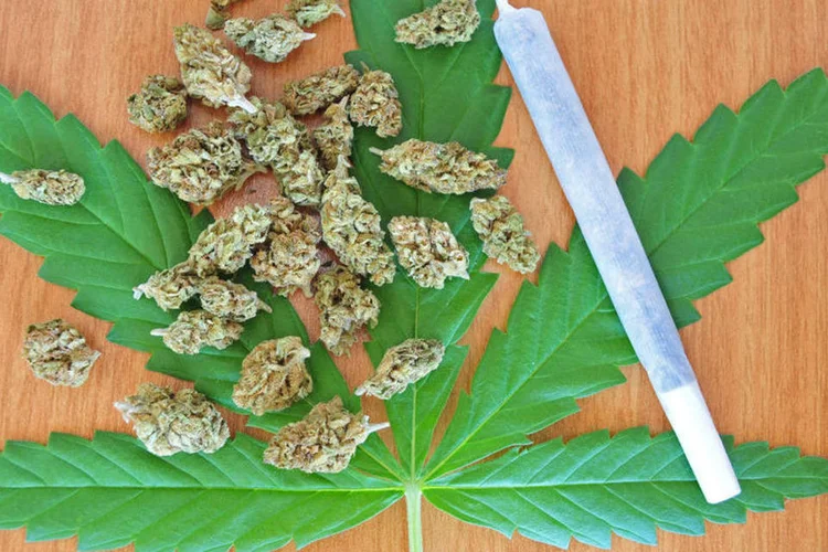 Folha de maconha  (ThinkStock/Getty Images)
