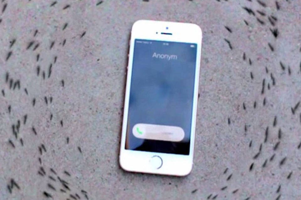Formigas enlouquecem com iPhone tocando. Será verdade?