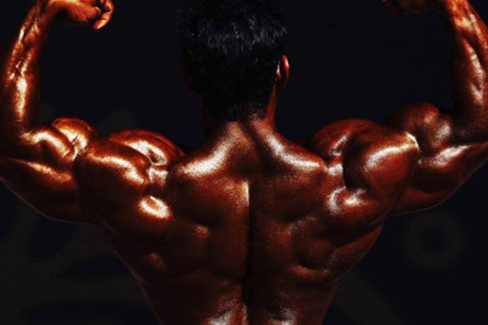 Músculo artificial é 85 vezes mais forte do que o humano