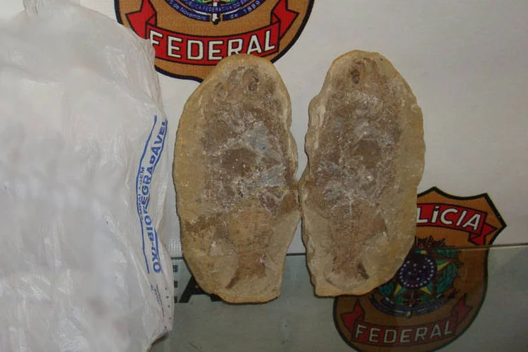 
	F&oacute;ssil de peixe apreendido pela Pol&iacute;cia Federal, no Aeroporto do Gale&atilde;o, Rio de Janeiro: as duas pedras pesam, aproximadamente, 2,6 quilos
 (Divulgação/Polícia Federal)
