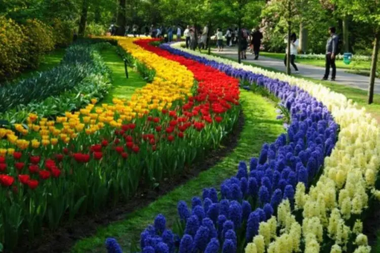 De Keukenhof, Lisse, Holanda  (Toni Scuder/Creative Commons)