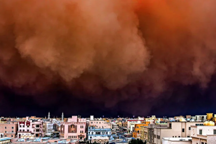 Indomáveis, impiedosas e belas (Divulgação / Atkins CIWEM Environmental Photographer of the Year)