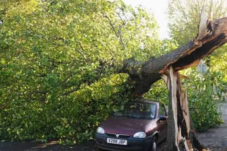 
	&Aacute;rvore bloqueia a estrada depois de uma tempestade no Reino Unido: 130 mil fam&iacute;lias est&atilde;o sem luz no Pa&iacute;s de Gales e no centro e no norte da Inglaterra
 (Getty Images)