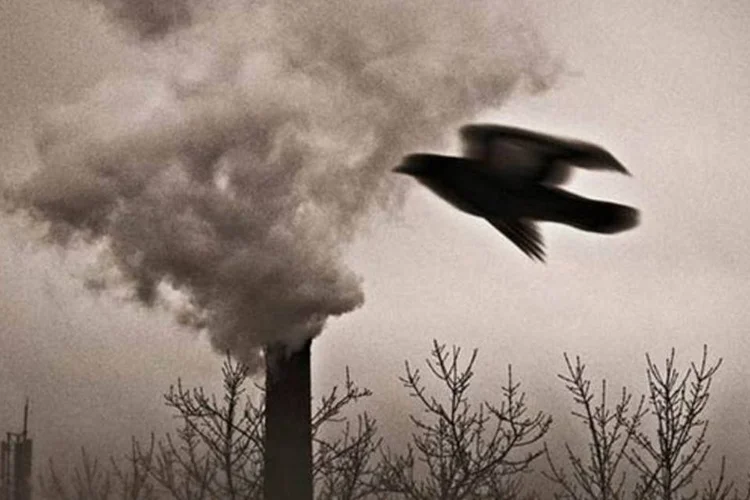 
	Cientistas estimaram em &quot;pelo menos 90 por cento&quot; a chance de que o clima esteja sendo afetado pela queima de combust&iacute;veis f&oacute;sseis
 (Anastasya Vorobk / Children’s Eyes on Earth)