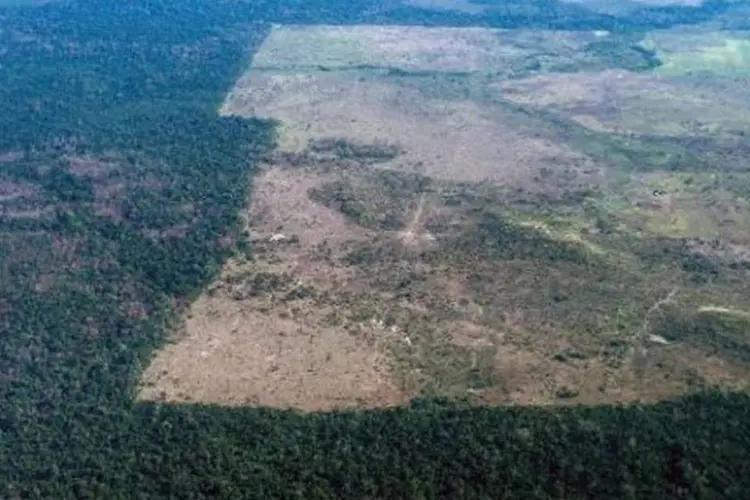 
	Regi&atilde;o desmatada da Amaz&ocirc;nia no estado do Par&aacute;: desenvolvimento do sistema, que pretende receber o cadastro de todas as propriedades rurais brasileiras, custou R$ 70 milh&otilde;es
 (Yasuyoshi Chiba/AFP)