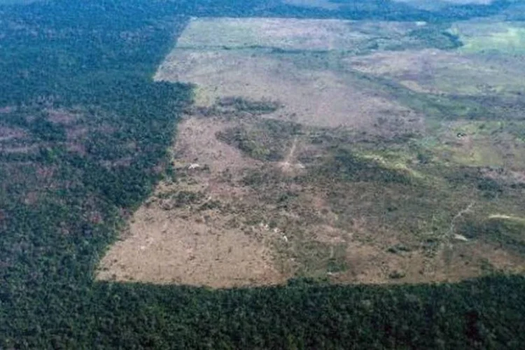 Região desmatada da Amazônia no estado do Pará: o Brasil é o país mais perigoso do mundo para os ativistas (Yasuyoshi Chiba/AFP)