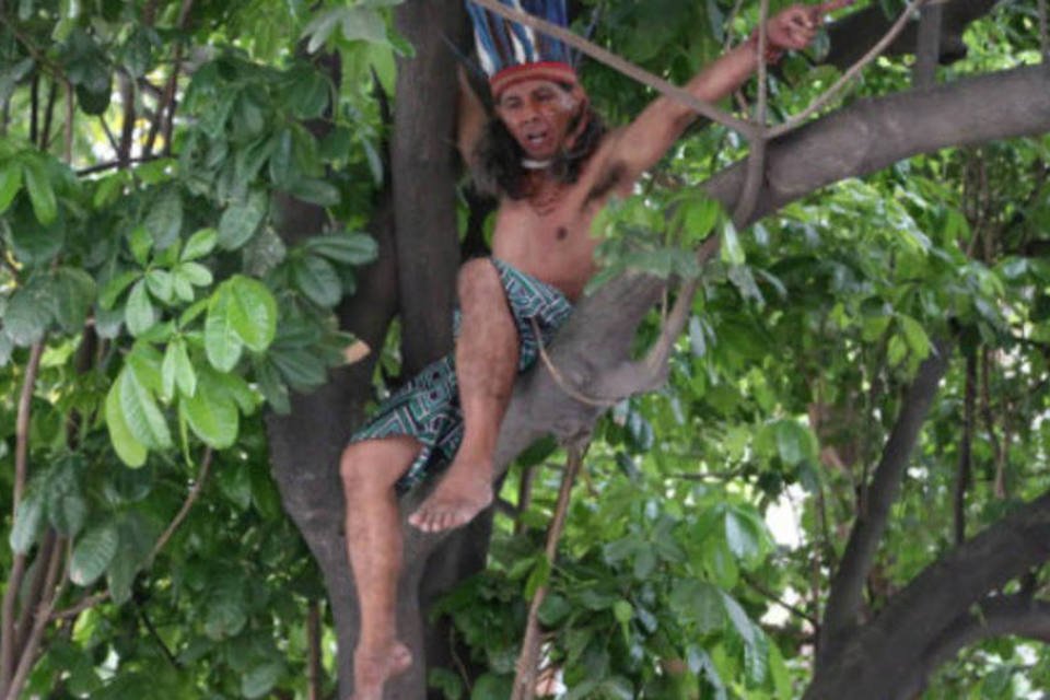 Bombeiros retiram índio que resistia há 26 horas em árvore