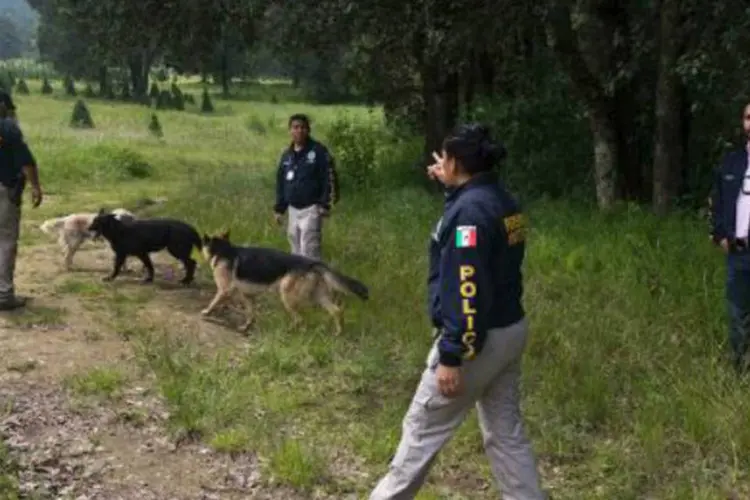 Polícia mexicana procura por uma fossa clandestina no México: acredita-se que cadáveres tenham sido vítimas de um cartel narcotraficante (Ronaldo Schemidt/AFP)