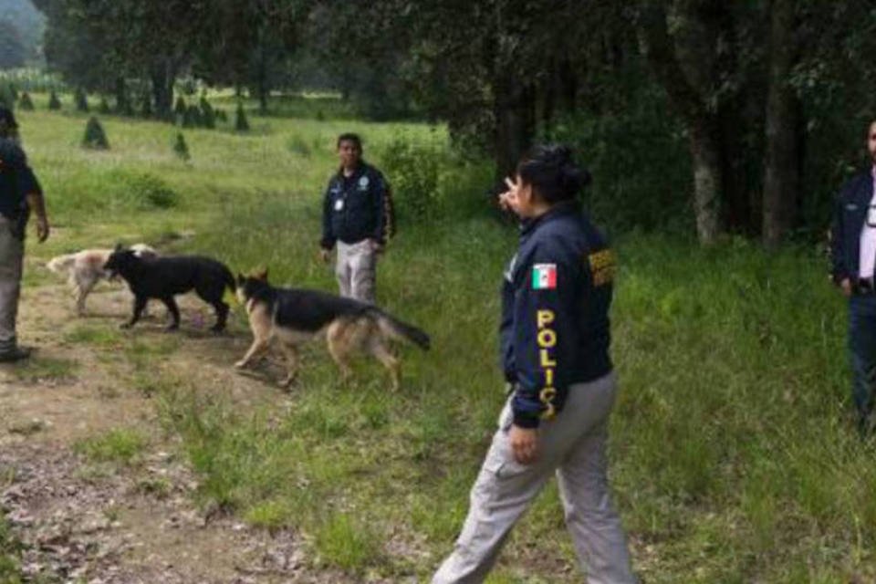 Termina busca em fossas do México com 64 corpos encontrados