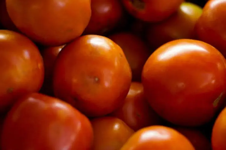 
	Tomate: pesquisador citou como exemplo o tomate, cuja varia&ccedil;&atilde;o na terceira quadrissemana foi de 17,44%, ante 23,65%
 (Elza Fiuza/ABr)