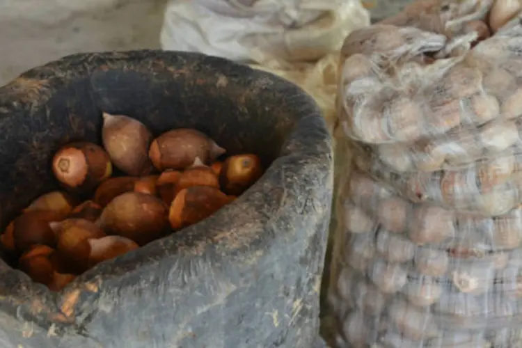 Sacas com produtos de plantação de quilombo: artesanato, produção cultural e turismo de base comunitária também contribuem para complementar a renda (Valter Campanato/ABr)