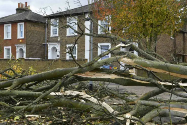 Árvores caídas após tempestade em Londres: aproximadamente 61.000 lares continuam sem energia após a tempestade (Toby Melville/Reuters)