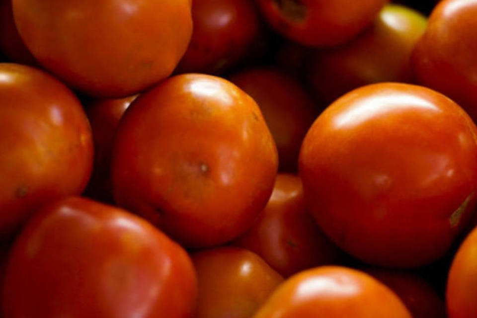 Tomate pressiona inflação na terceira prévia de outubro