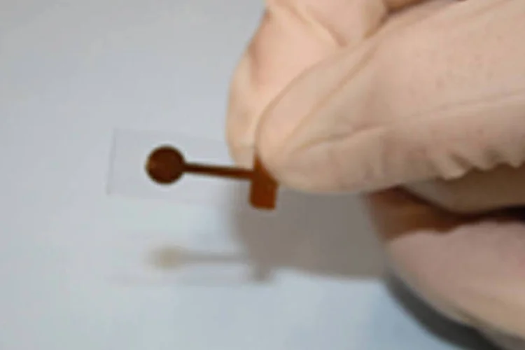 Sensor biológico (biossensor) detecta em minutos, na água, no solo e em alimentos, a presença de um pesticida altamente tóxico (IFSC/USP)