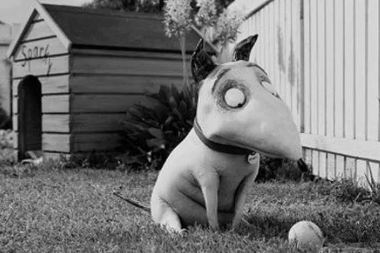 
	&quot;Frankenweenie&quot;, de Tim Burton, &eacute; um filme em preto e branco e em&nbsp;&quot;stopmotion&quot;, inspirado na inf&acirc;ncia do pr&oacute;prio diretor
 (Divulgação)
