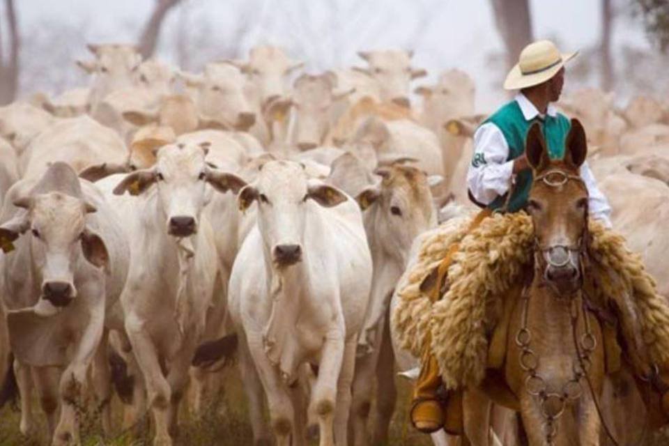 Brasil e Rússia devem discutir embargo à carne na próxima semana