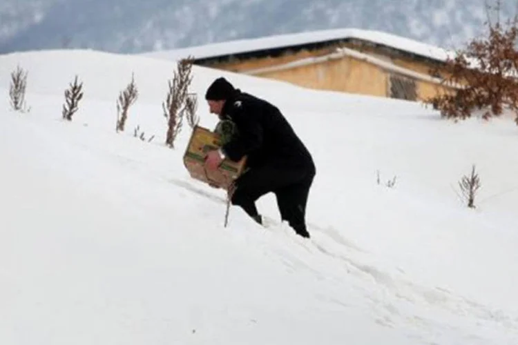 Homem carrega suprimentos pela neve na Albânia, onde milhares de pessoas estão isoladas por causa da neve em cidades, geralmente sem eletricidade
 (Gent Shkullaku/AFP)