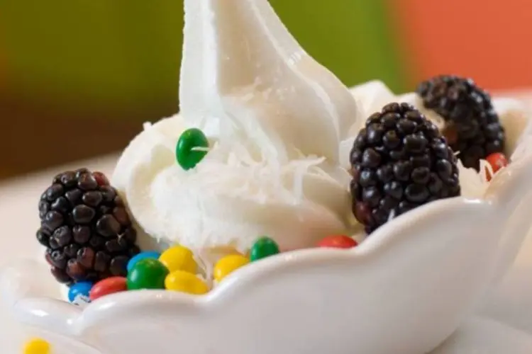 De acordo com o teste, produtos da Yogolove, Yoggi, Yogoberry,Yoforia,Tutti Frutti Frozen Yogurt e Bendita Fruta não podem ser vendidos como iogurte (Divulgação)