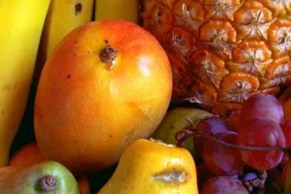 Empresa cria software para acompanhar produção de frutas