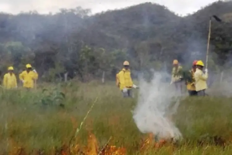 Voluntários: eles são recrutados e capacitados para combater fogo e evitar incêndios acidentais (Fundação Grupo Boticário)