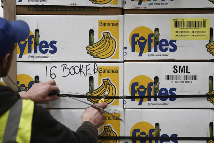 Bananas: empresa resultante da fusão teria uma participação de 14% no mercado global (Bloomberg)