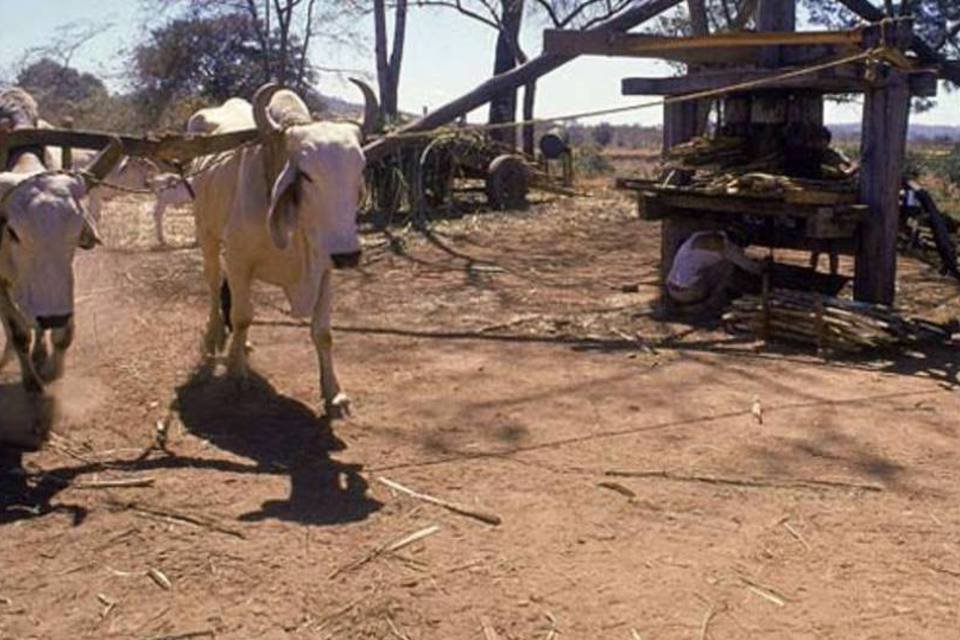 Estiagem deixa 124 municípios mineiros em emergência