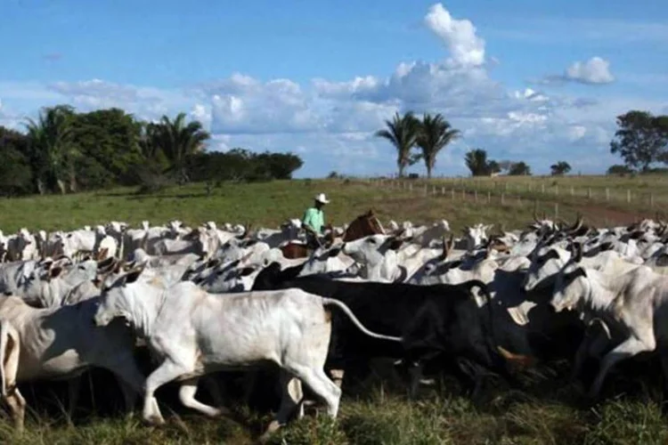 JBS defendeu a qualidade da carne produzida no país (Manoel Marques/VEJA)