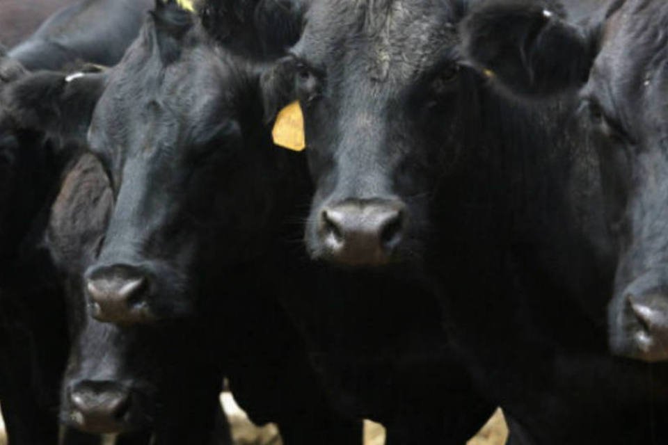 Caso da vaca louca exigirá investimentos, diz Abipecs