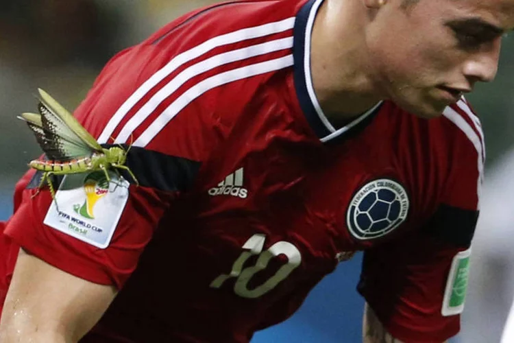Gafanhoto pousa sobre o jogador James Rodriguez, após marcar o gol contra o Brasil no Castelão (Jorge Silva/Reuters)