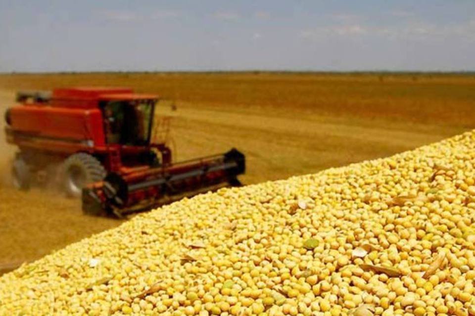 Agronegócio tem superávit comercial recorde em 2010