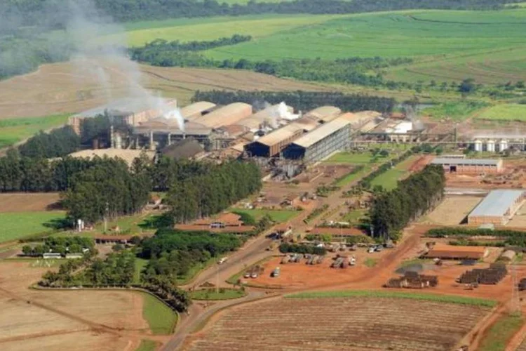 Guarani: Tereos comprou a participação da Petrobras no projeto e agora será a única dona (DIVULGACAO)