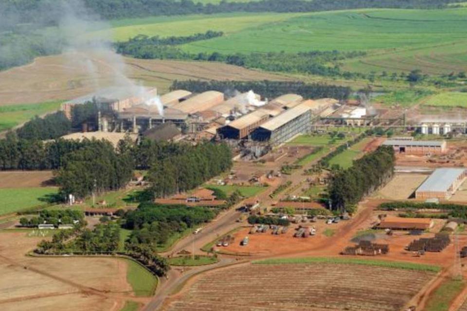 Cade aprova venda de fatia da Guarani da Petrobras para a Tereos