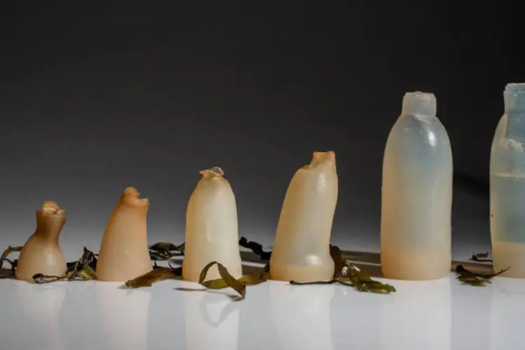 Garrafa de algas: alternativa engenhosa e biodegradável ao descarte de embalagens plásticas. (Ari Jónsson)